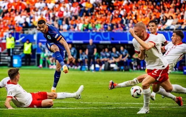 1718557220290016376.jpg 12.jpg