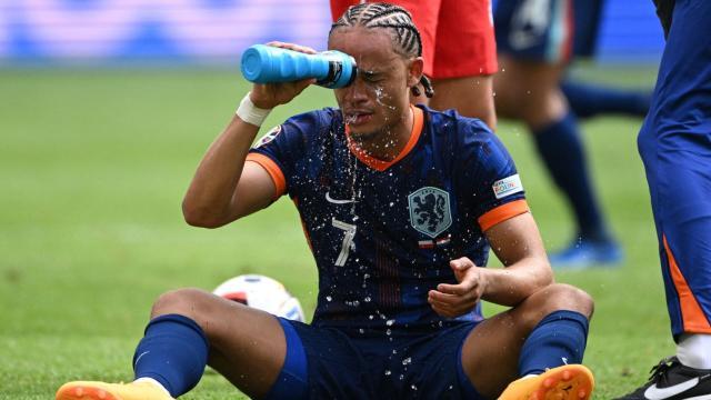 1718557129715062197.jpg 3.jpg